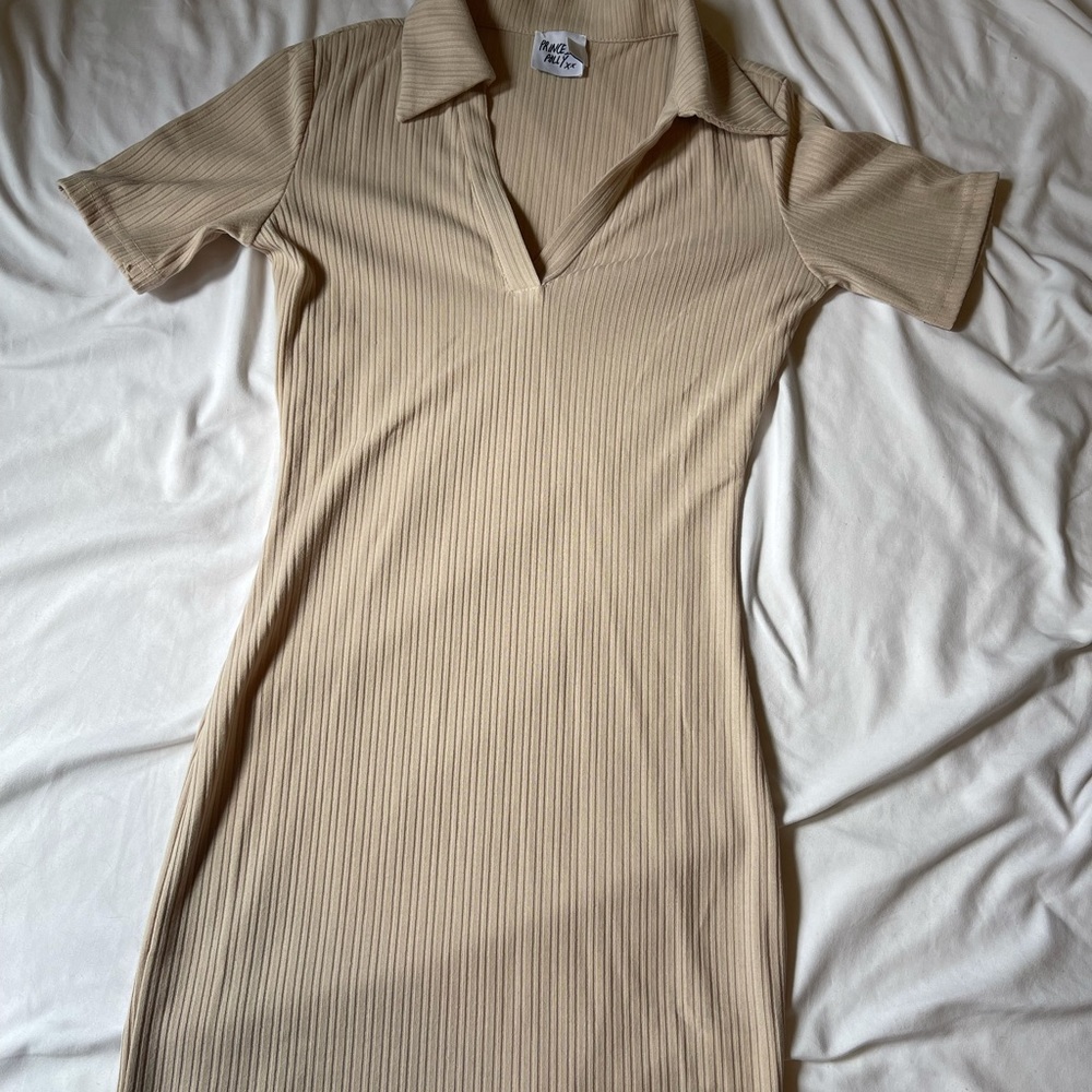 Ribbed Collared Mini Dress